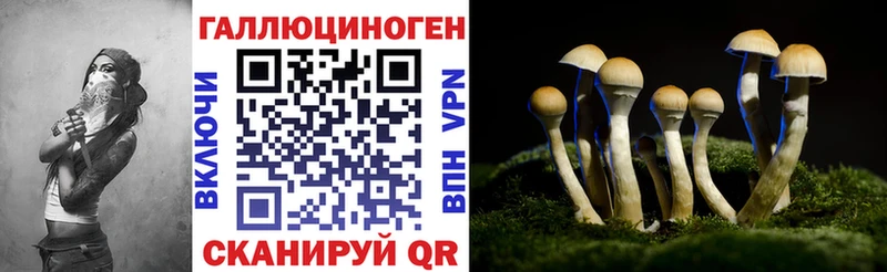Псилоцибиновые грибы мицелий  Купить где  Воркута 